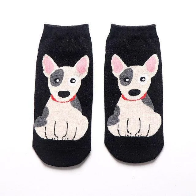 Bull Terrier Socks