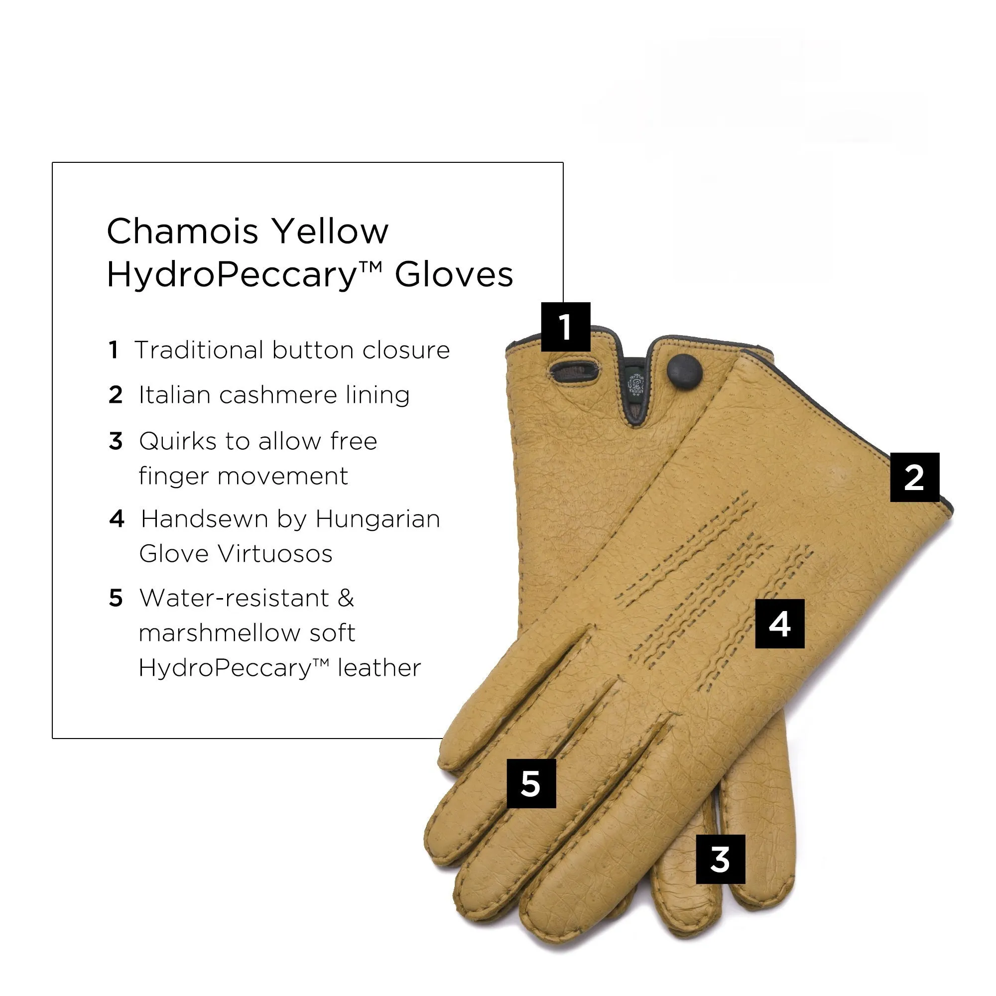 Chamois Yellow Cashmere Lined Peccary Gloves